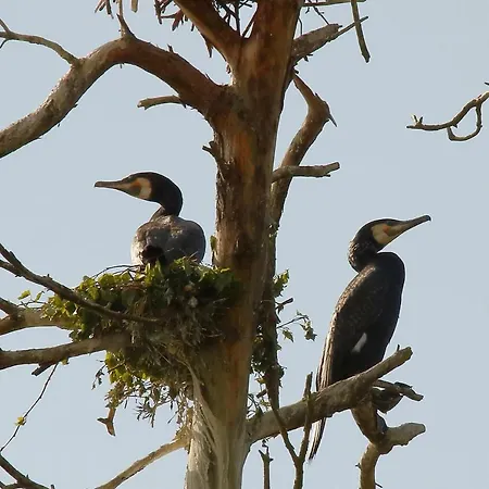 ホームステイ Mewa *