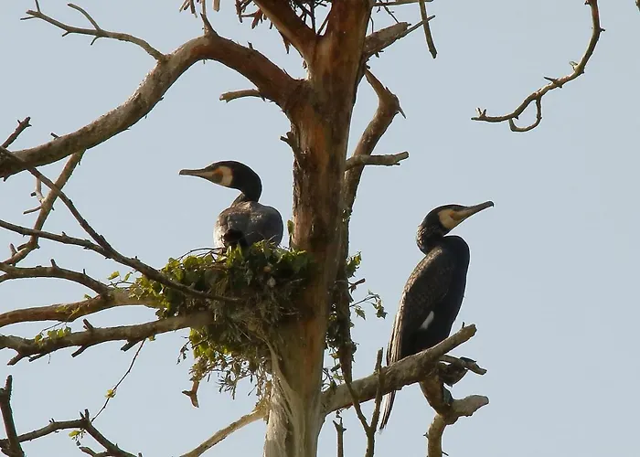 Δωμάτια σε οικογενειακή κατοικία Mewa *